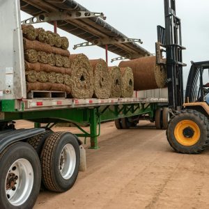 12 Yard Enclosed Roll-On Skip